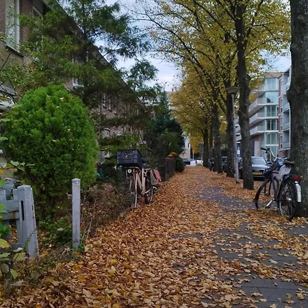 Holly's * Amsterdam