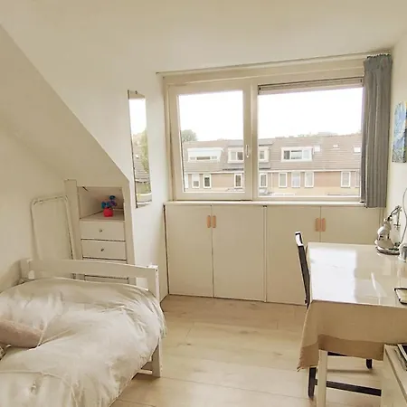 Holly's Amsterdam